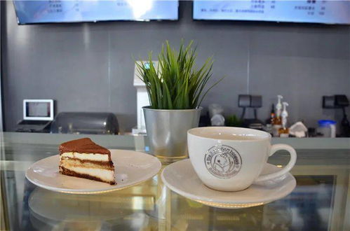 冬日的問(wèn)月樓,不止有新展覽